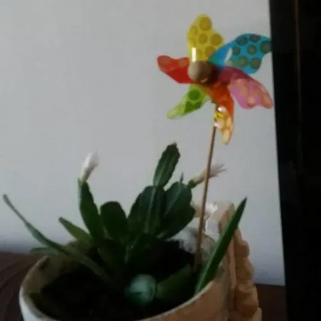 Ladadika アパート *