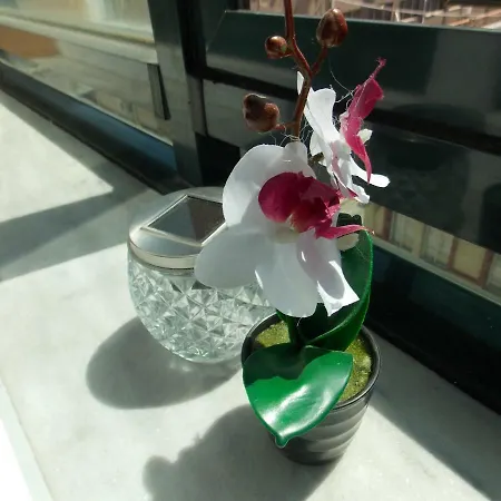 Ladadika アパート